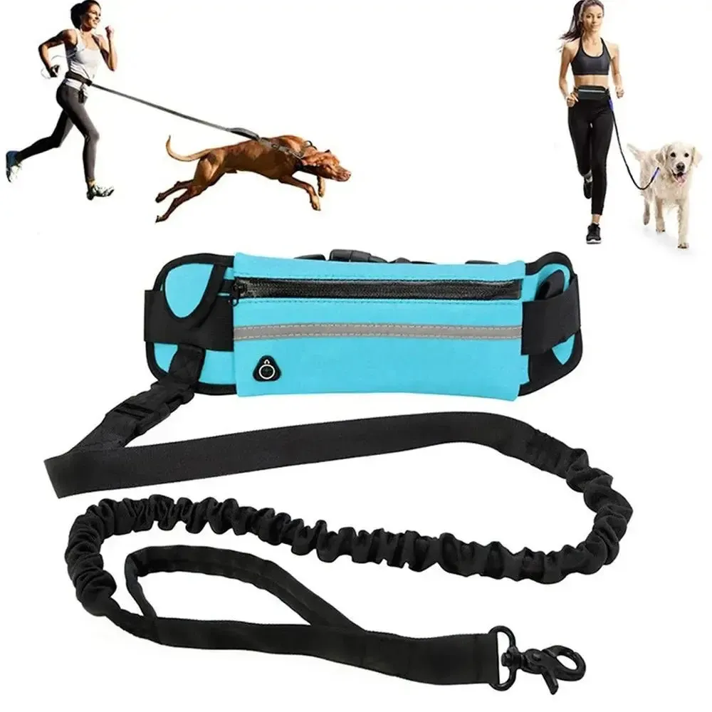 Anniepaw Hands-Free Running Dog Leash Reflective with Waist Bag Elastic Belt