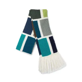 Caron X Pantone Shifting Blocks Knit Scarf