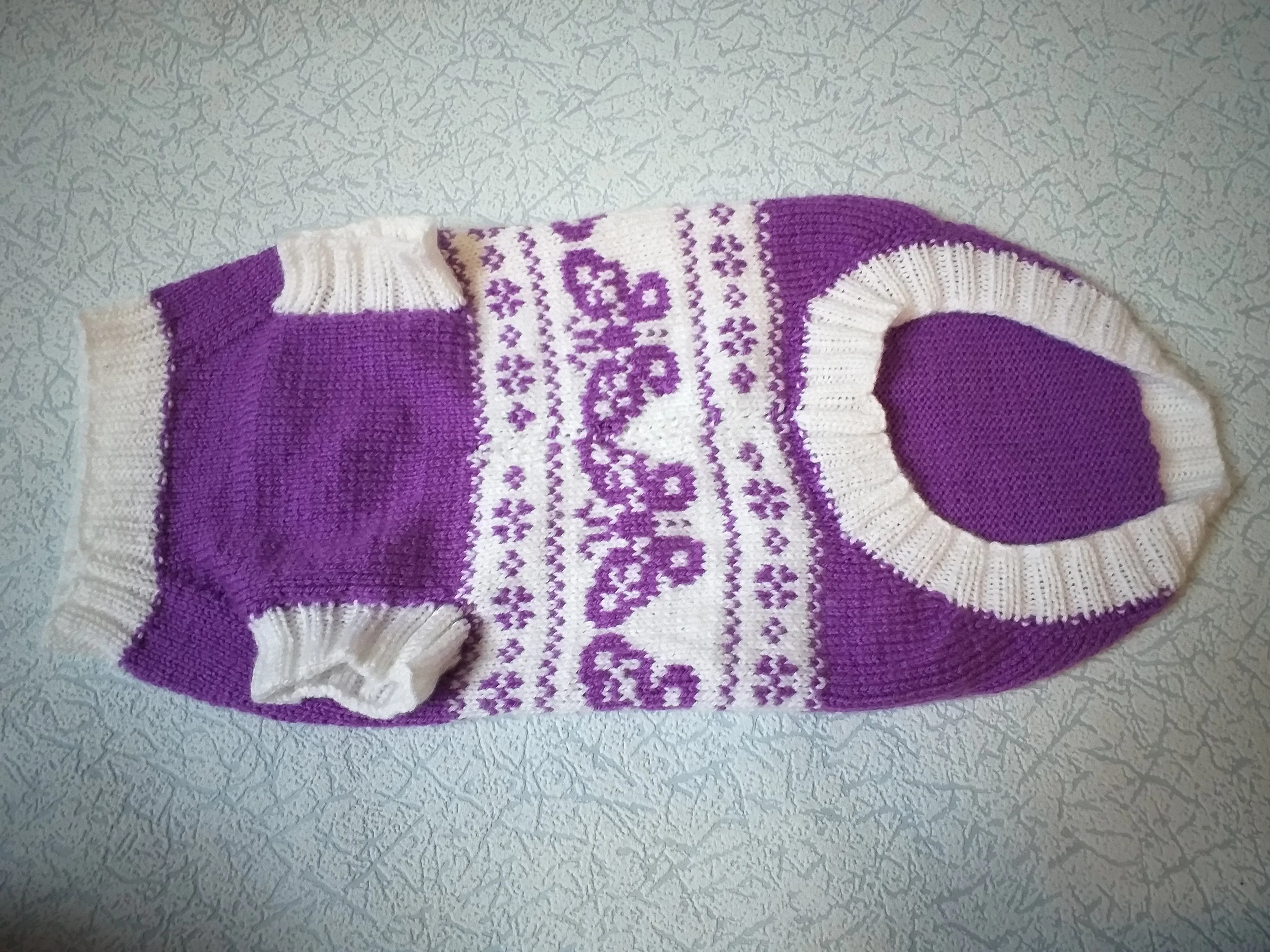 Clothing for dachshund butterflies knitted sweater