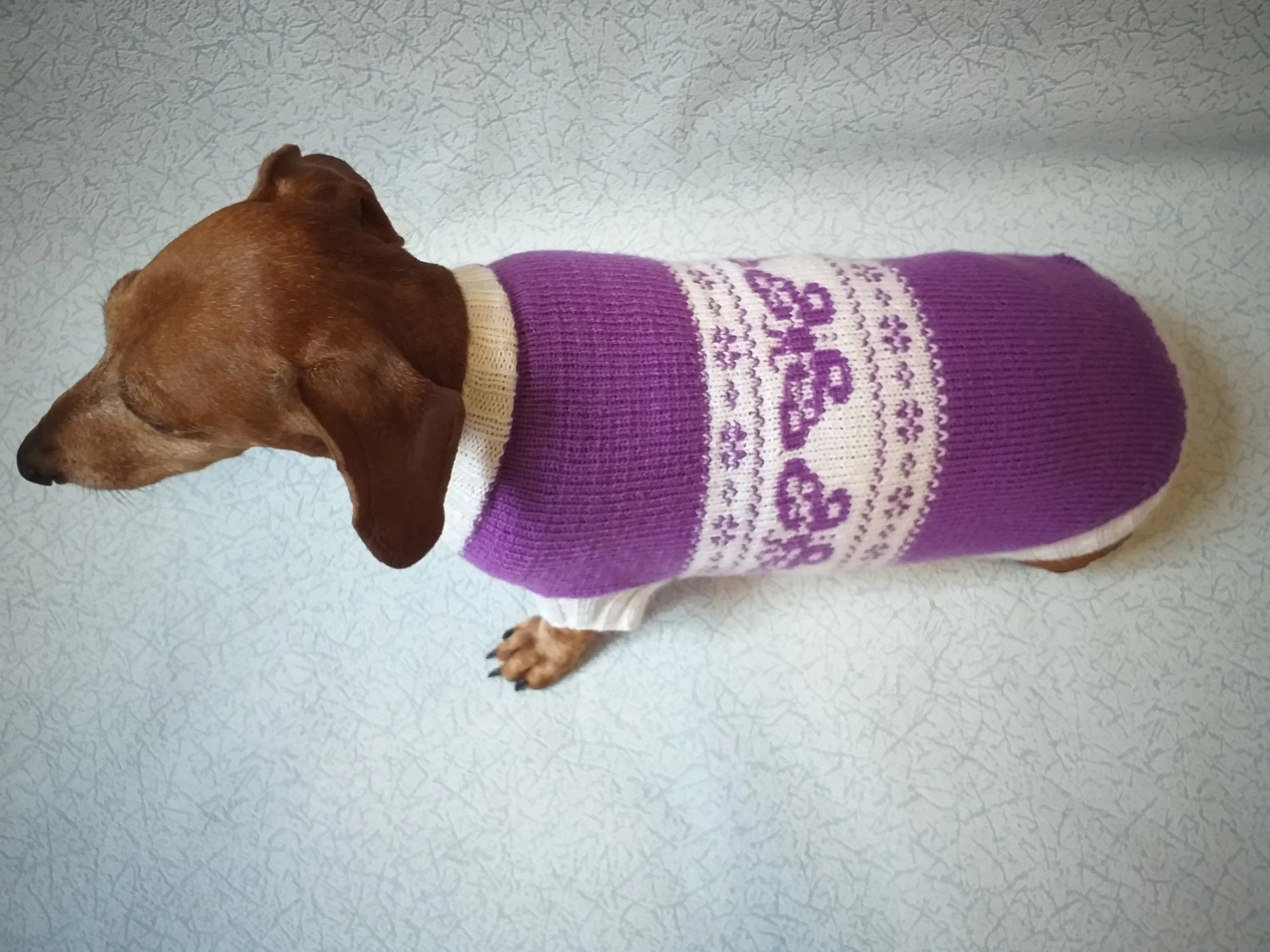 Clothing for dachshund butterflies knitted sweater