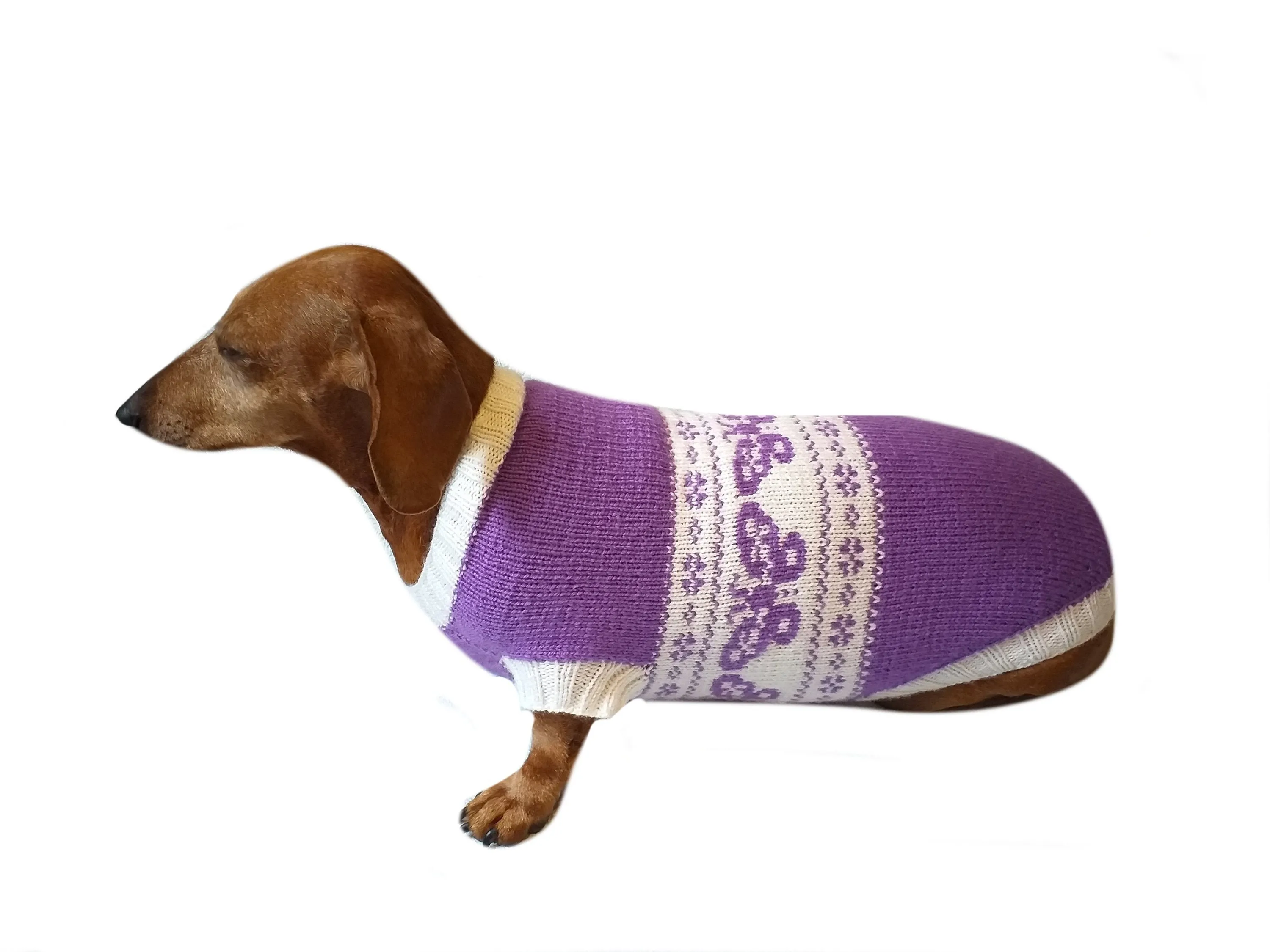 Clothing for dachshund butterflies knitted sweater