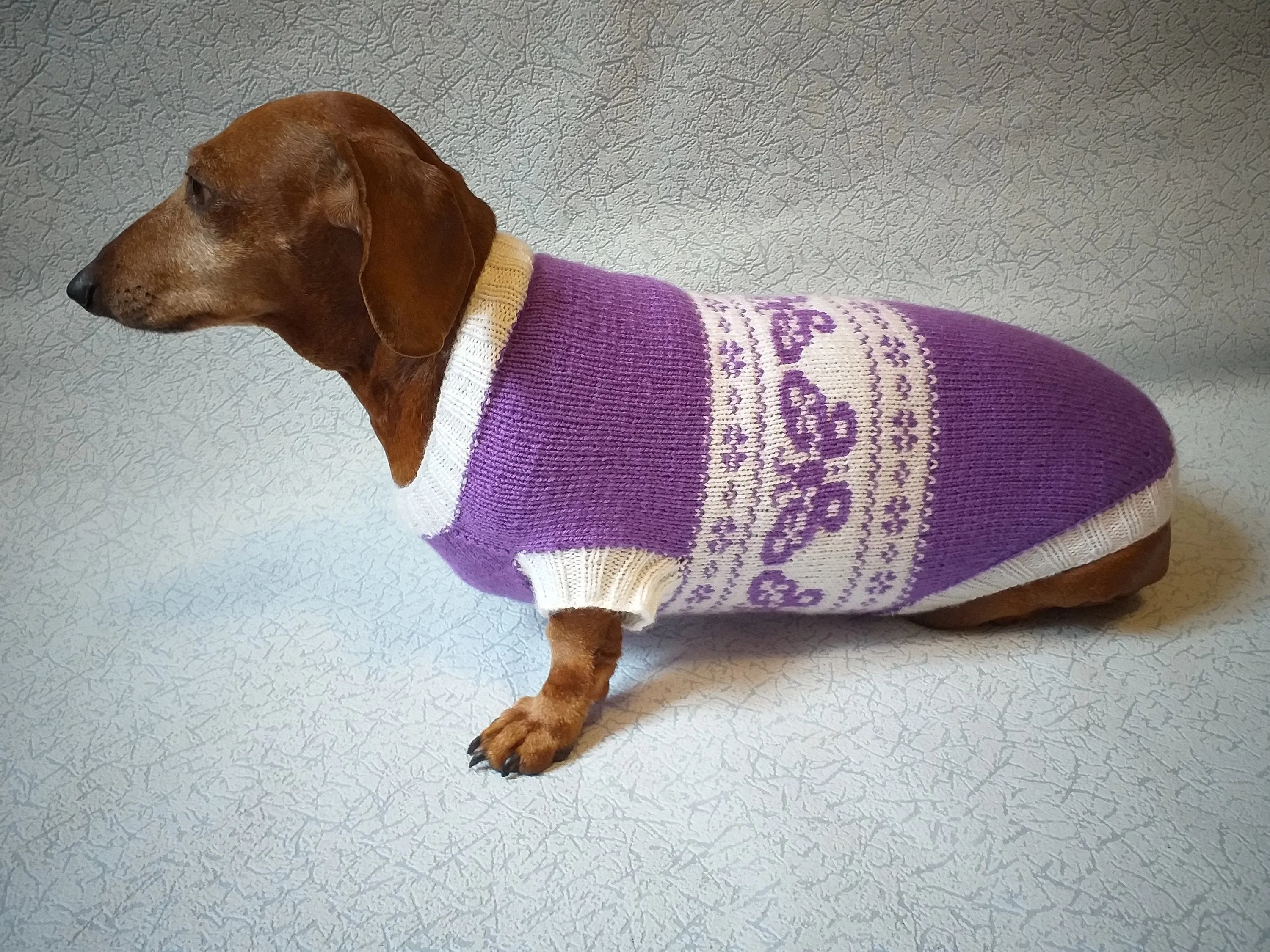 Clothing for dachshund butterflies knitted sweater