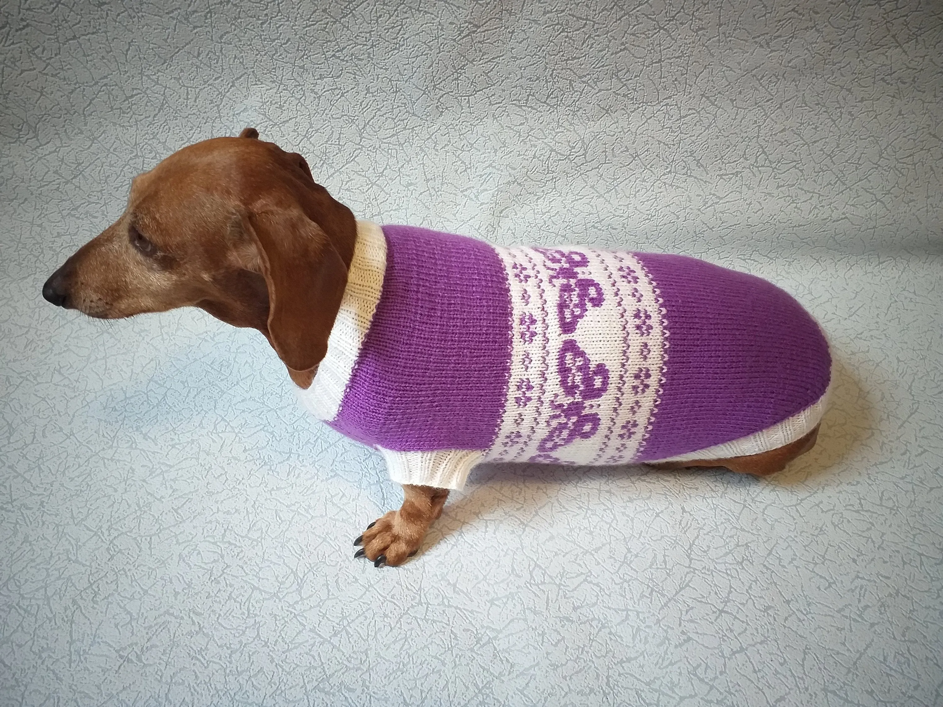 Clothing for dachshund butterflies knitted sweater