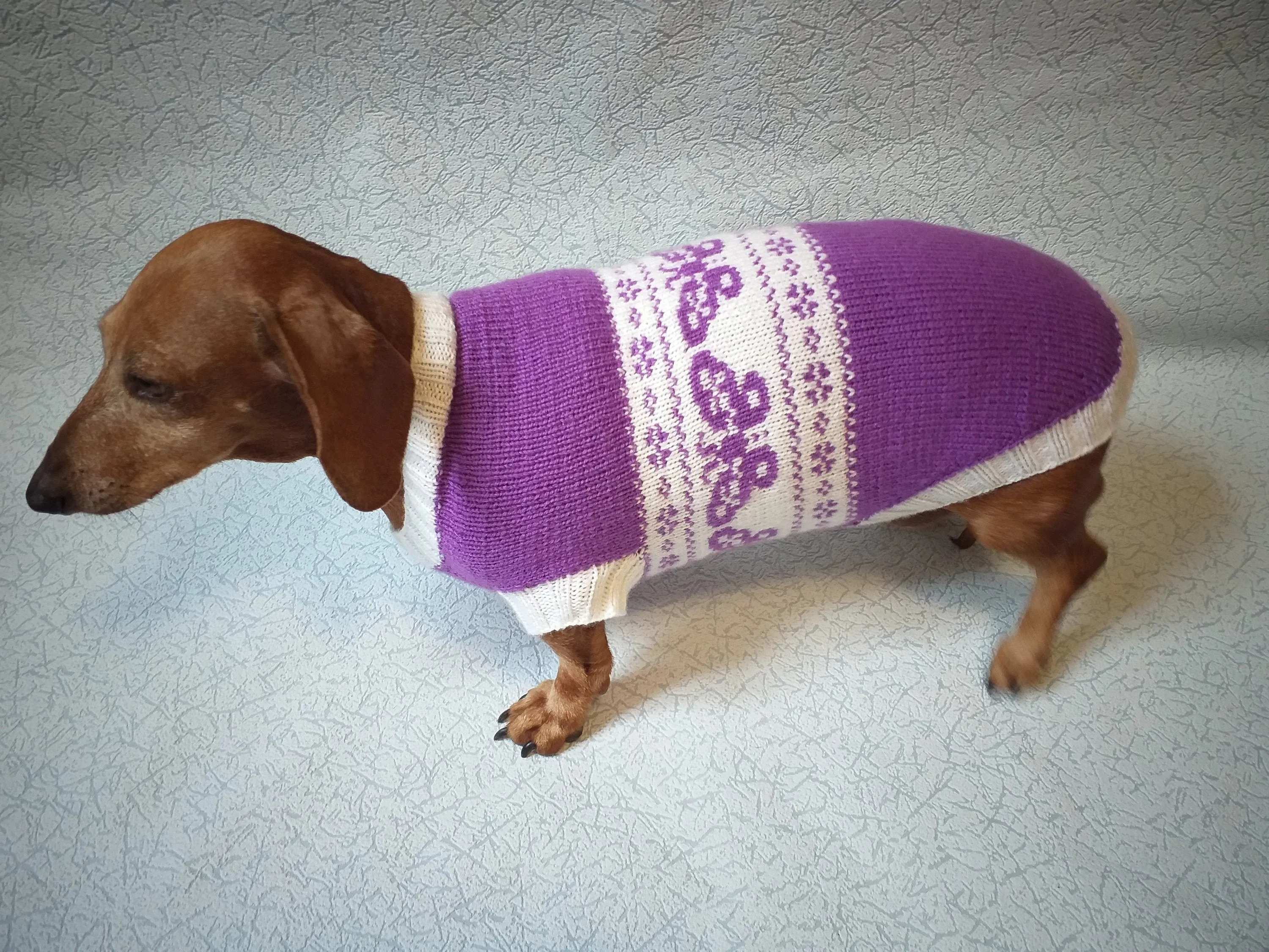 Clothing for dachshund butterflies knitted sweater