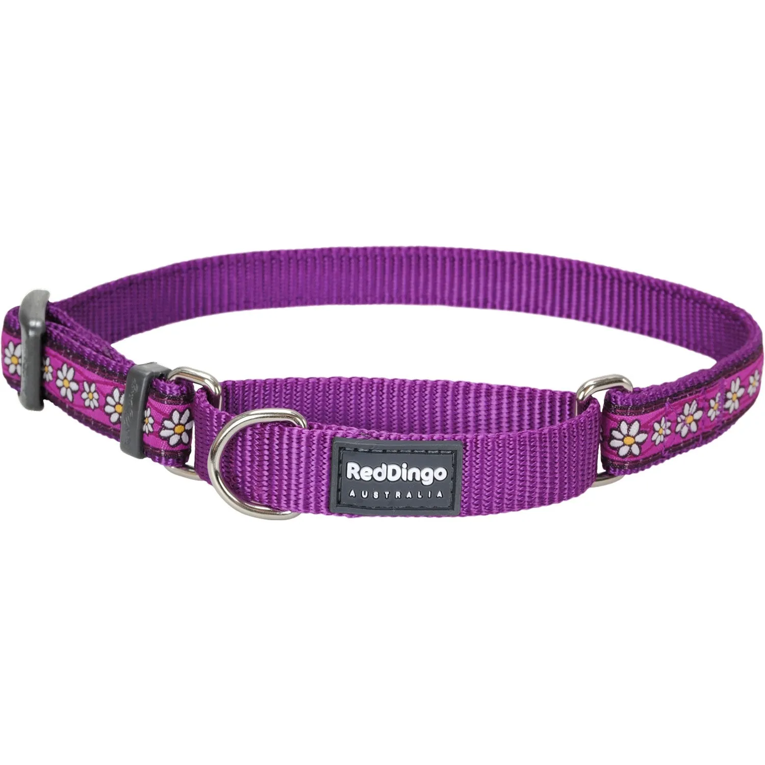 Daisy Chain Purple Martingale