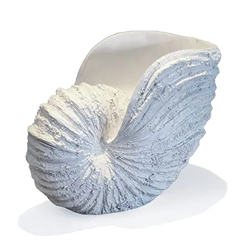 Huey House Nautilus Seashell Color Off White Size 10.25lx5.9x7.87h Inches