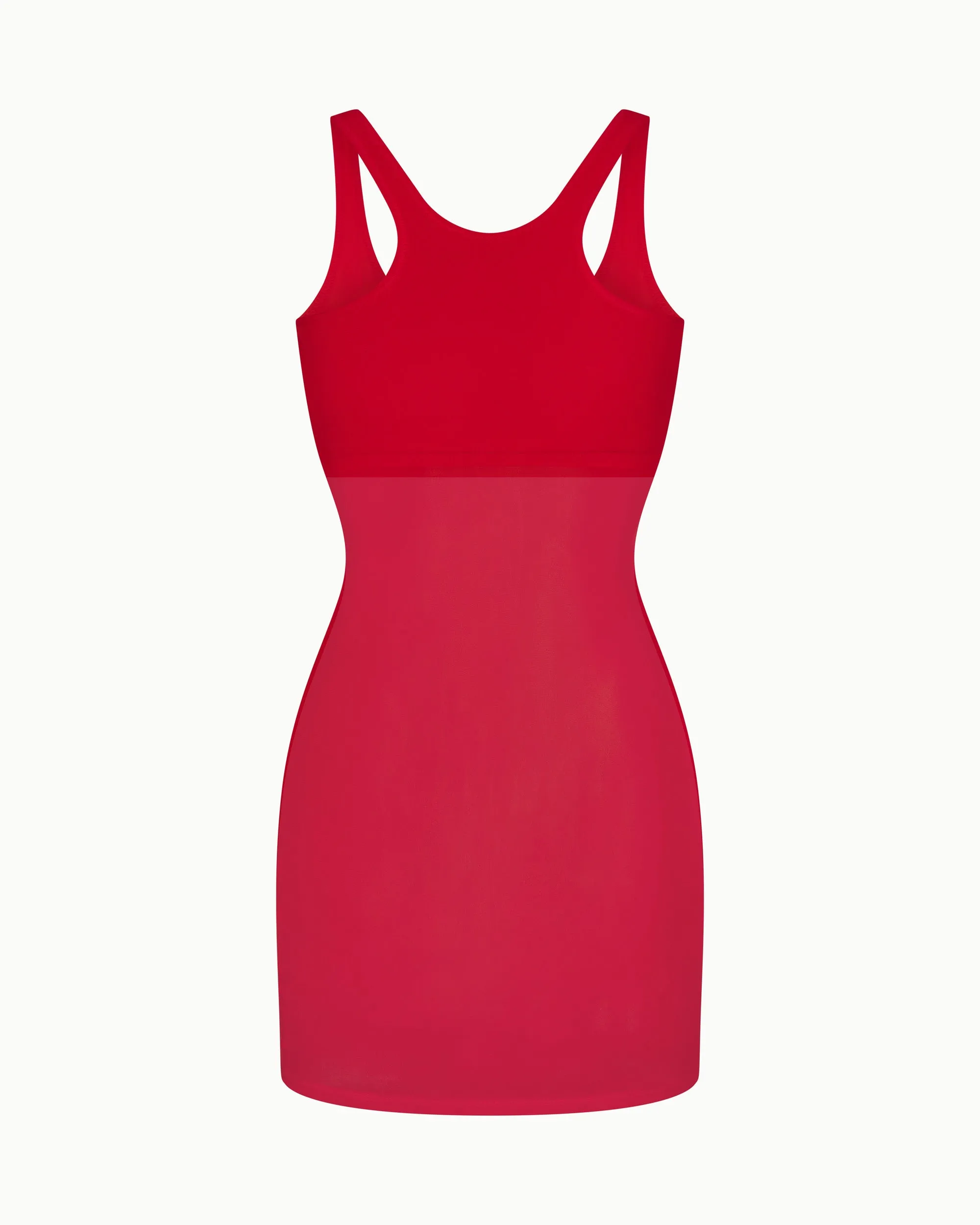 Mesh Swim Mini Dress | Cherry