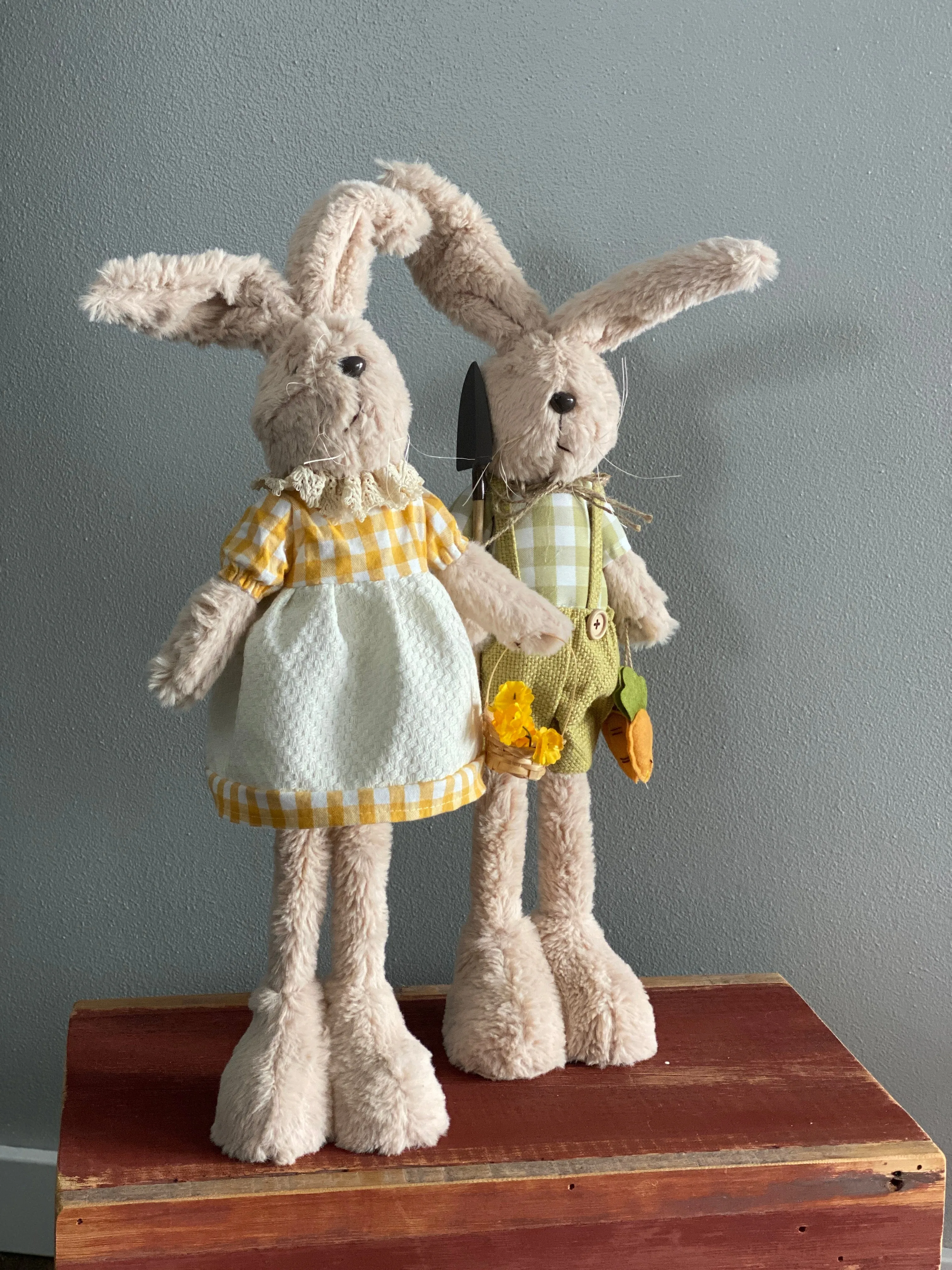 Mr. and Mrs. Garden Bunny