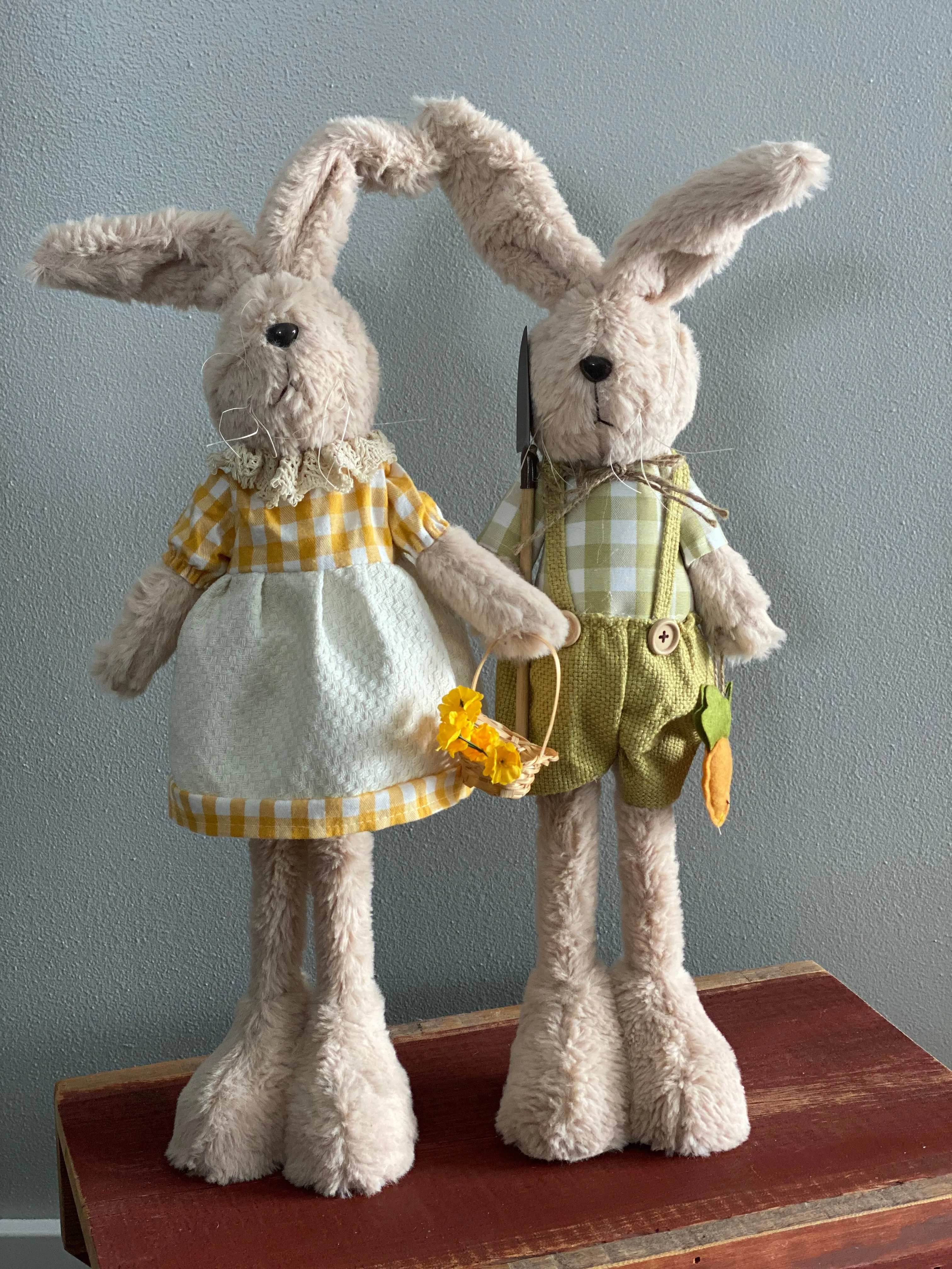 Mr. and Mrs. Garden Bunny