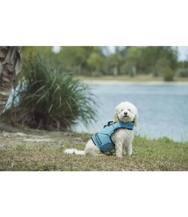 Radar Dog Life Vest (2024)