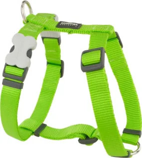 Red Dingo Harness Lime Green Large 25mm