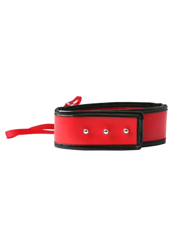 S&M Leash and Collar (Red/Black)