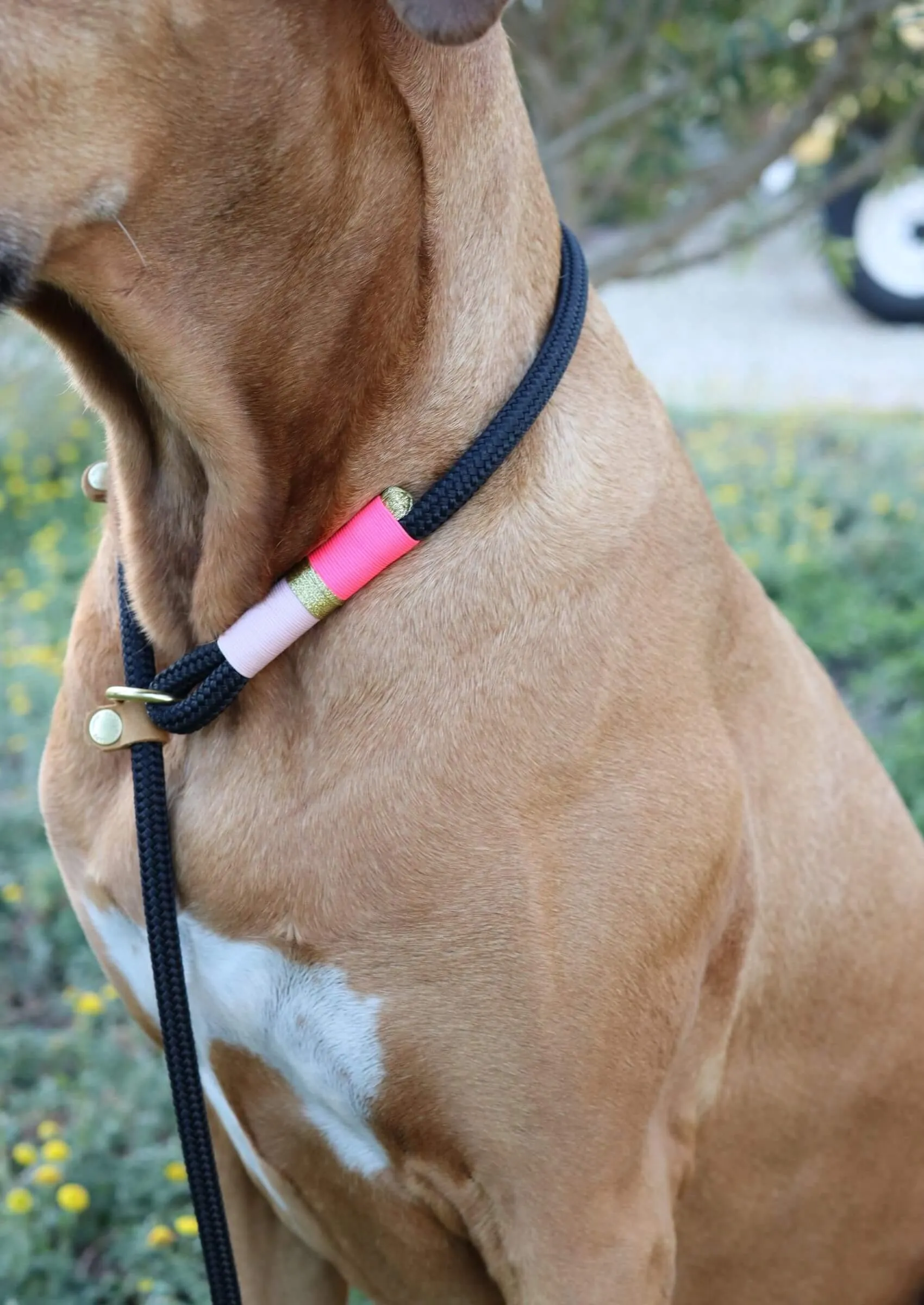 Slip-on Dog Leash | Pink Acid on Black