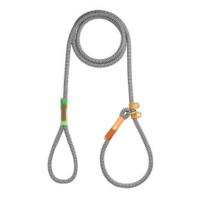 Slip-on Dog Leash | Spring Bark