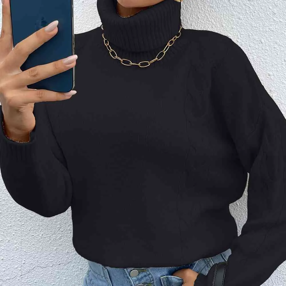 Turtle Neck Long Sleeve Sweater