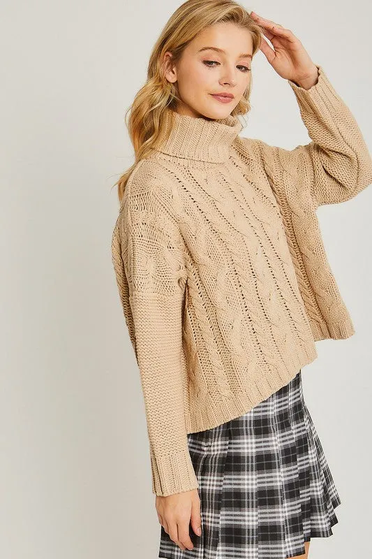 Turtle Neck Sweater