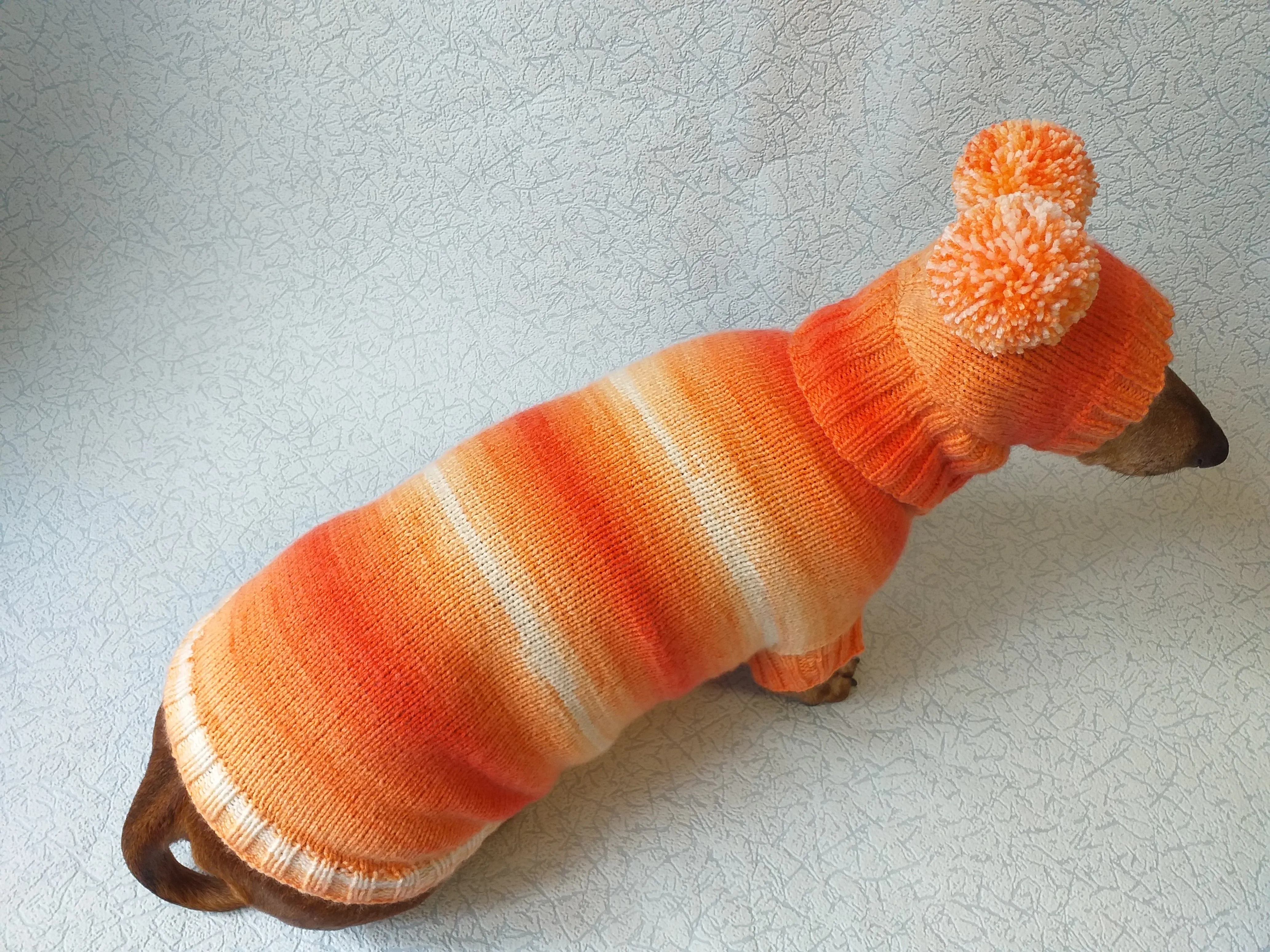 Wiener costume sweater and hat, Doxie sweater and hat set, clothes for small dog of dachshund