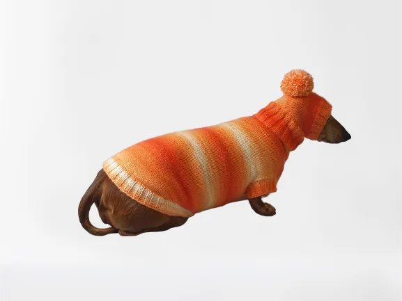 Wiener costume sweater and hat, Doxie sweater and hat set, clothes for small dog of dachshund