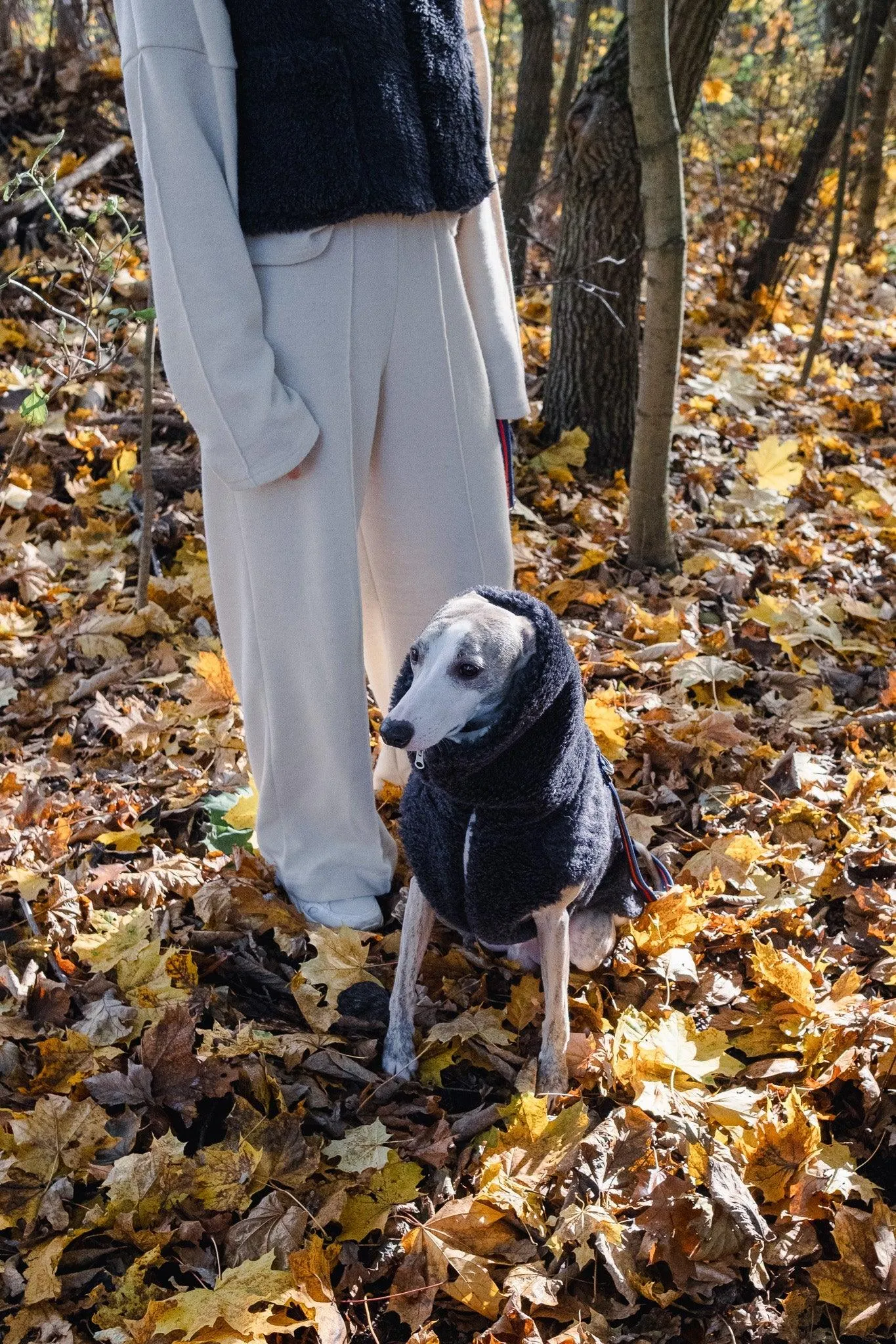 Woolen Dog Vest - Charcoal