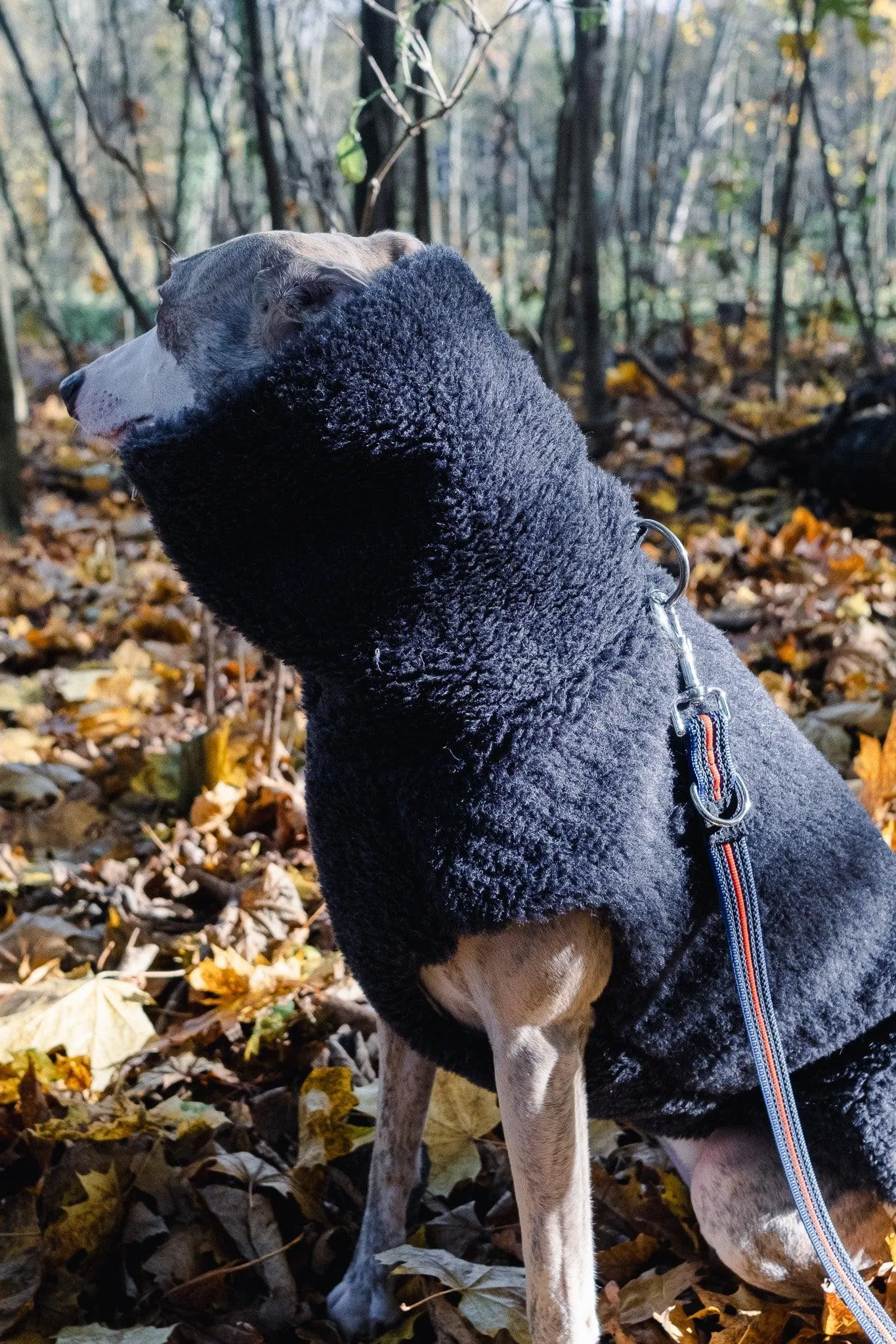 Woolen Dog Vest - Charcoal