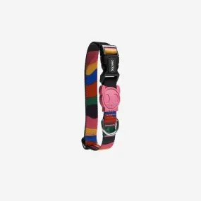 Zee.Dog Chroma Dog Collar